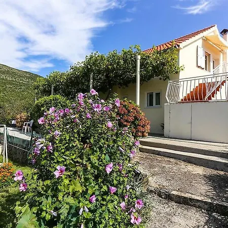 Holiday Desin Apartman